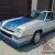 1983 Dodge Charger Shelby