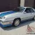 1983 Dodge Charger Shelby