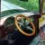 1956 Ford F-100
