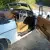  MGB Roadster 1974 (1950cc) with overdrive. 