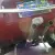  1967 JAGUAR SIR 1 4,2 MANUAL L.H.D,CALIFORNIA INPORT,NO CORROSION ,NO RESERVE . 