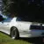 COLLECTOR QUALITY DOCUMENTATION BEST OUT THERE survivor LOW MILES