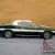 1973 Dodge Charger
