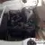 Capri Consul Classic Cortina Escort Anglia Rare in VIC
