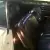  66 Cadillac Coupe DE Ville Convertible RHD 
