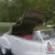 *** Beautiful Rare Cadillac Series 62 Convertible *** Completely Restored ***