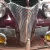 1939 Chevrolet Other WOODIE