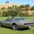 1979 Firebird Pontiac Trans Am - 10th Anniversary Edition