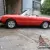 1979 Alfa Romeo Spider