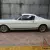 1965 FORD MUSTANG CELEBRITY OWNED SHOW CAR