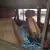 1972 Jeep Wagoneer in VIC