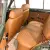 1965 Volvo Amazon Estate - Complete Nut & Bolt Restoration - Exceptional