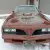 1978 TRANS AM , LOW MILE SURVIVOR , 98% RUST FREE, LOADED!