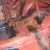 1970 Mercury Cougar Eliminator M Code Project Car