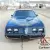 1981 PONTIAC Trans Am SPECIAL EDITION