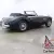 1966 Austin-Healey 3000