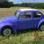 1967 Volkswagen Beetle - Classic