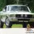 1967 Shelby GT350