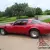 1981 Pontiac Trans Am TURBO