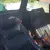1990 ROVER MINI running a Honda 1600 Twin cam FAST!