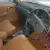 1978 Mercedes W123 300D 5cyl Diesel Auto White Duco