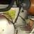 Fiesta mk2 1.1l (barn find)