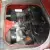 Volkswagen Classic VW Type 3 Notchback 1500s (Not Fastback/ Variant/ Beetle)