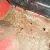  TriumphTR4 needing work LHD 