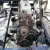 1917 Replica/Kit Makes Ford T