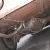 Cadillac : DeVille convertible