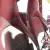 TAX EXEMPT VOLKSWAGEN 1300cc BEETLE 1303 RED