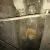 Dodge : Charger SE