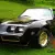 1979 Pontiac Trans Am Special Edition