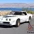 1979 Pontiac Trans Am Firebird