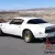 1979 Pontiac Trans Am Firebird