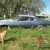 1969 Pontiac GTO LeMans