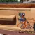 1989 Rolls-Royce Silver Spirit/Spur/Dawn sprit