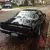 1979 Pontiac Trans Am Trans Am