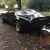 1979 Pontiac Trans Am Trans Am