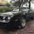 1979 Pontiac Trans Am Trans Am