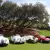 1956 Jaguar XK 140 MC Roadster   XK140 Convertable   XK 140 SE