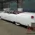 1955 Cadillac Other