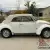 1977 Volkswagen Beetle - Classic