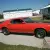 1969 Ford Mustang Super Cobra JET 428 Mach 1 R Code NO Reserve 
