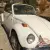 1980 Volkswagen Beetle - Classic