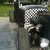 1951 Ford Shoebox vintage hot rod Rat Slead