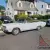 1967 Dodge Dart