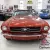 1965 Ford Mustang --