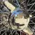 MG B / MGF B Roadster 1969 Superb Condition