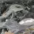 Lincoln : Town Car BLUE